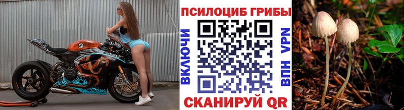 сайты даркнета формула  Балабаново  Псилоцибиновые грибы MAGIC MUSHROOMS  наркота 